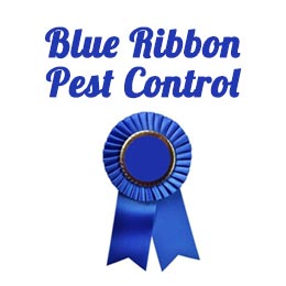 Blue Ribbon Pest Control Inc